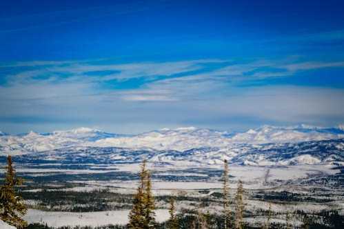 NBA不满柏金斯叫雷纳德退休格林开酸:他场均2.5分没人逼