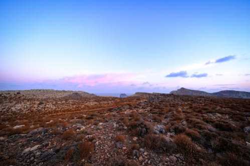 NBA鹈鹕D.穆雷完成左手骨折手术预计缺席4至6週