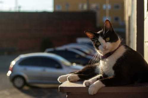 希金斯队录像 斯诺克大师赛第1轮 对战vs巴里-霍金斯队回放 2026年01月14日 09:23:26比赛视频完整直播回看