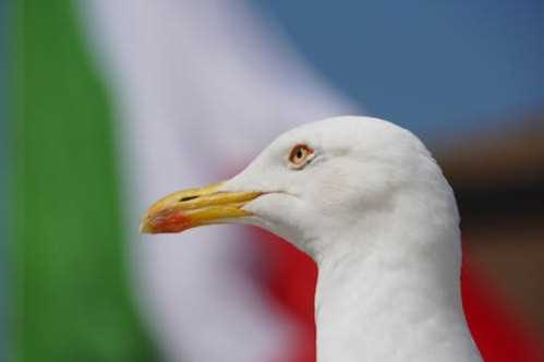 朱芳雨偶遇张伟丽：有机会我的朱八拳和你交流