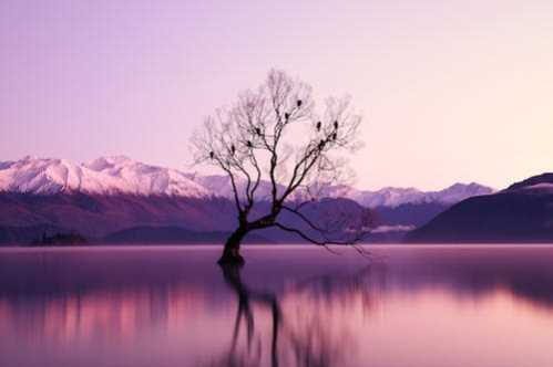 NBA球季后将成为自由球员!卡鲁索谈对新合约的期待
