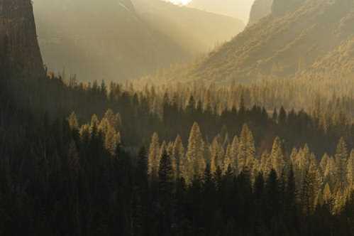 曼联队录像 英超第19轮 对战vs狼队回放 2025年12月31日 04:15比赛视频完整直播回看