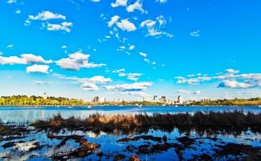 录像 2017年1月15日CBA常规赛 广州队-八一 对战vs八一队回放 未知 比赛视频完整直播回看