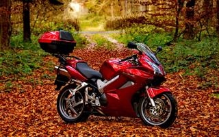 NBA约柯奇三节32分打卡下班金块大胜27分赏太阳3连败