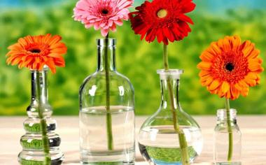 吴宜泽队录像 斯诺克苏格兰公开赛第1轮 对战vs伊恩-伯恩斯队回放 2025年12月15日 22:54:29比赛视频完整直播回看