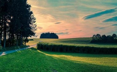 NBA飙36分送绿衫军本季最惨败仗拉文:我们很有竞争力