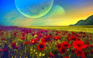 NBA爸爸要去哪?施洛德透露儿子得知交易后爆笑反应